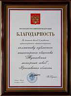 Благодарность от Президента России